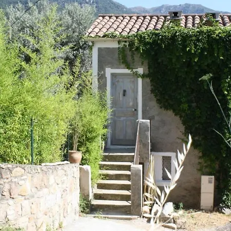 Little Azzedda Maison Corse Pour 2 Avec Hammam Et Jacuzzi Chalet Olivese