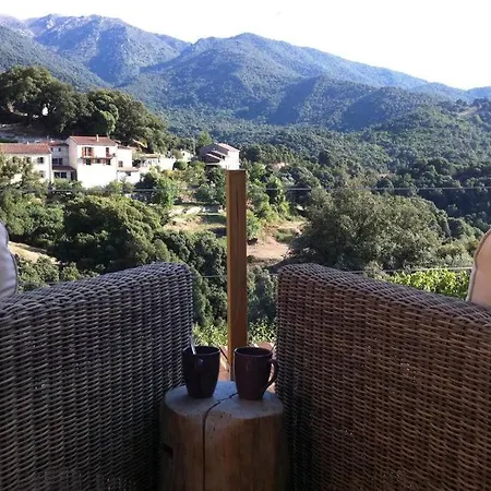 Little Azzedda Maison Corse Pour 2 Avec Hammam Et Jacuzzi Olivese